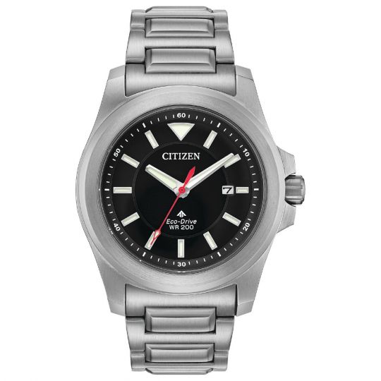 citizen promaster eco drive watch