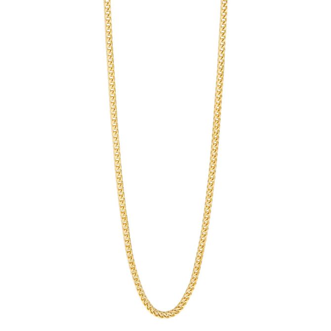 24" yellow gold Franco chain