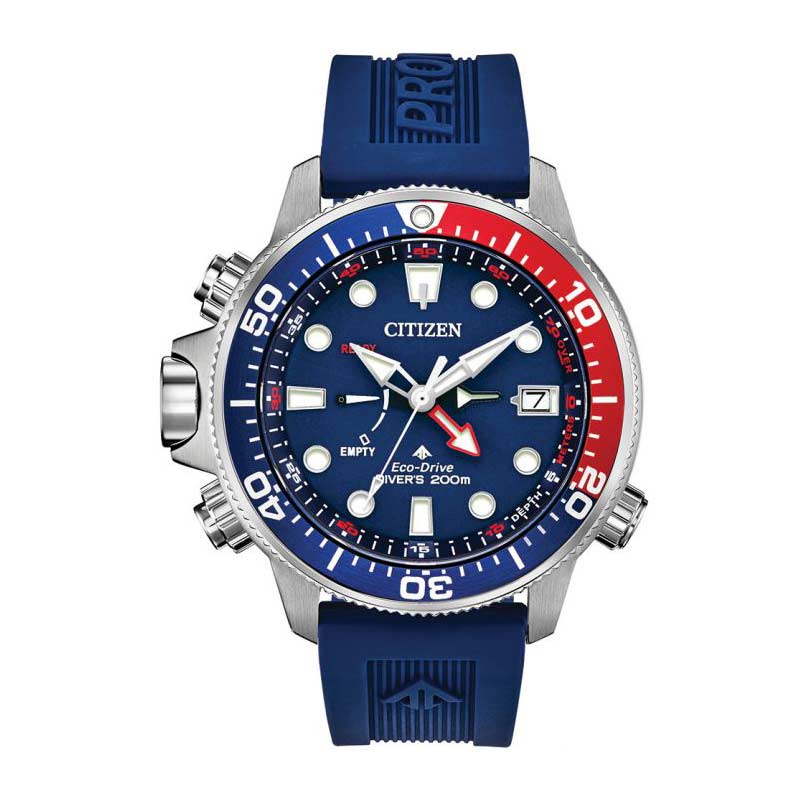 citizen watch aqualand promaster