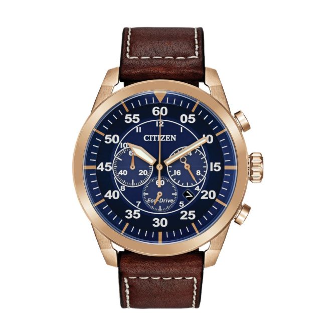 Citizen Avion 45mm Men's Watch, Blue Dial
