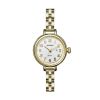 Shinola Birdy 34mm Watch, Silver Dial