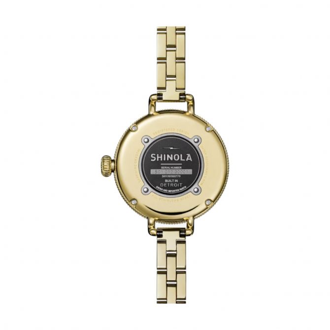 Shinola Birdy 34mm Women's Watch, Aventurine Dial | S0120283779
