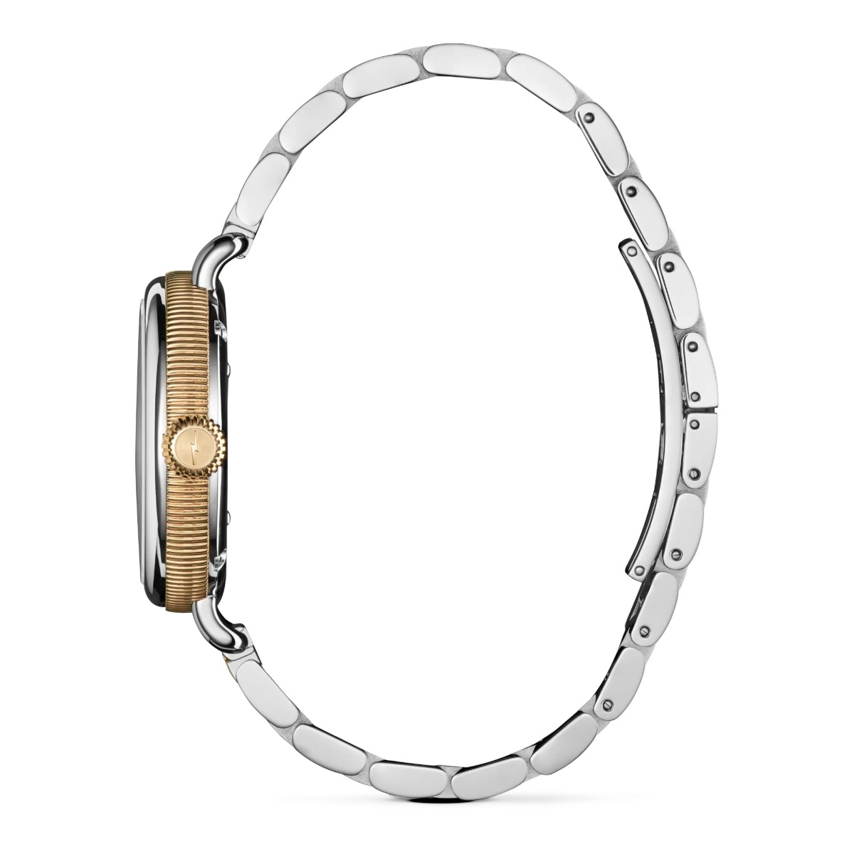 Shinola Birdy 34mm Women's Watch, Petoskey Dial