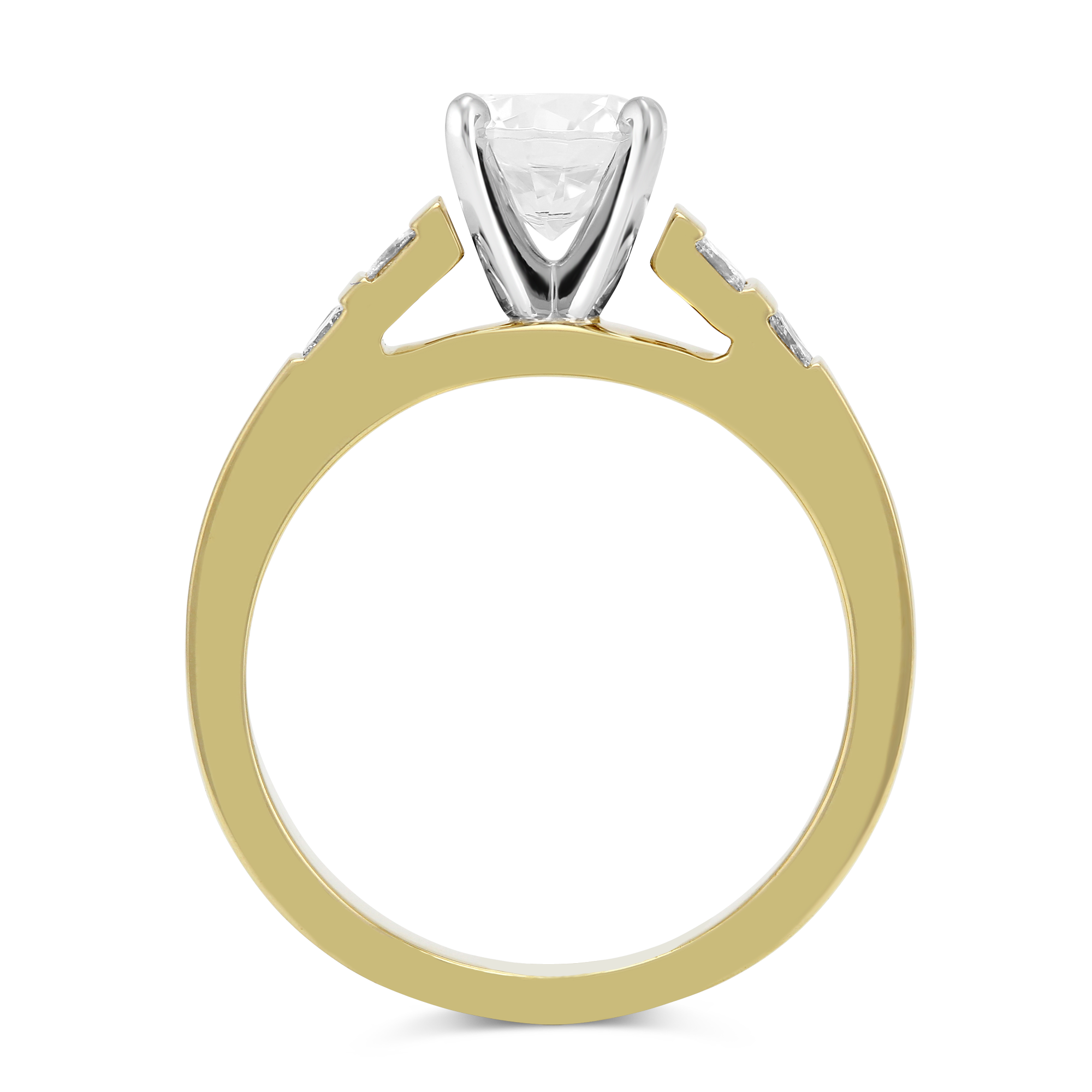 Yellow Gold Petite Vertical Channel Set Princess Cut Diamond Ring Setting
