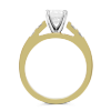 Yellow Gold Petite Vertical Channel Set Princess Cut Diamond Ring Setting