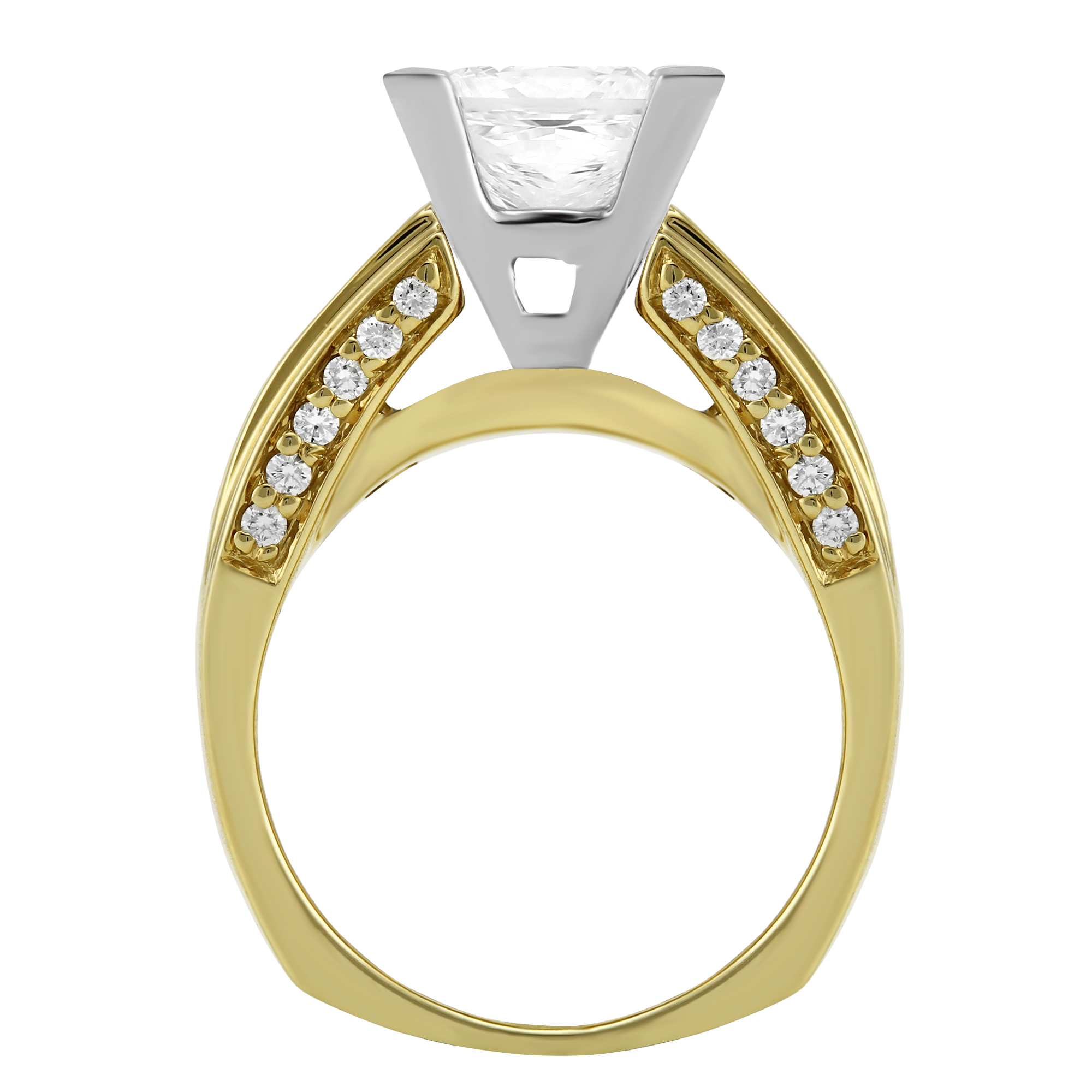 Yellow Gold Channel Set Princess Cut Two Row Diamond Ring Setting