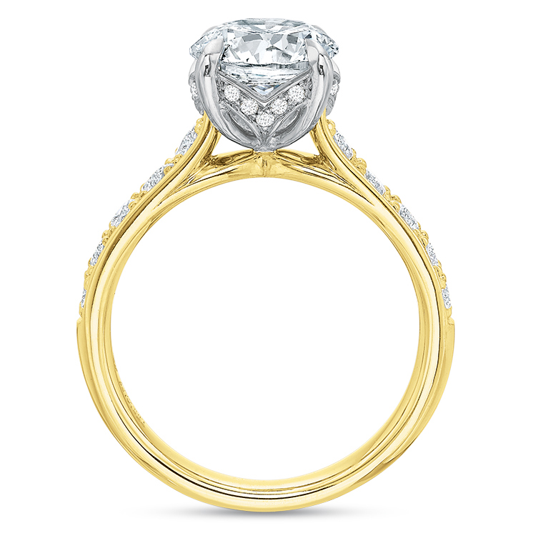 Diamond Bead Bright Ring Setting with Gallery in Yellow Gold