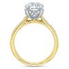 Diamond Bead Bright Ring Setting with Gallery in Yellow Gold