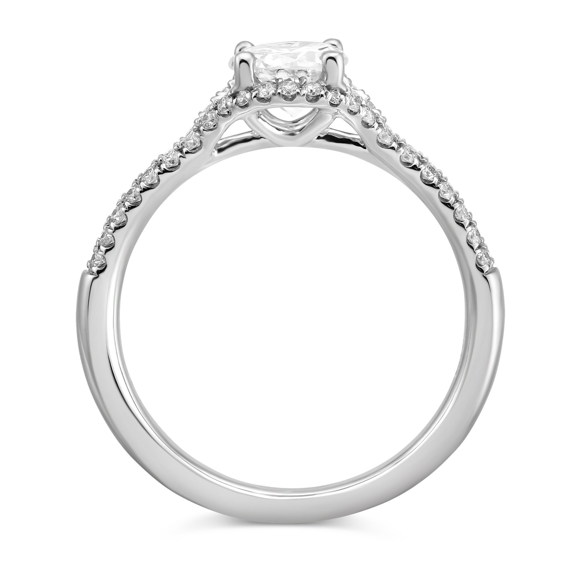 White Gold Diamond Engagement Ring with Joined Diamond Halo & 2 Row Shank, .67 ct