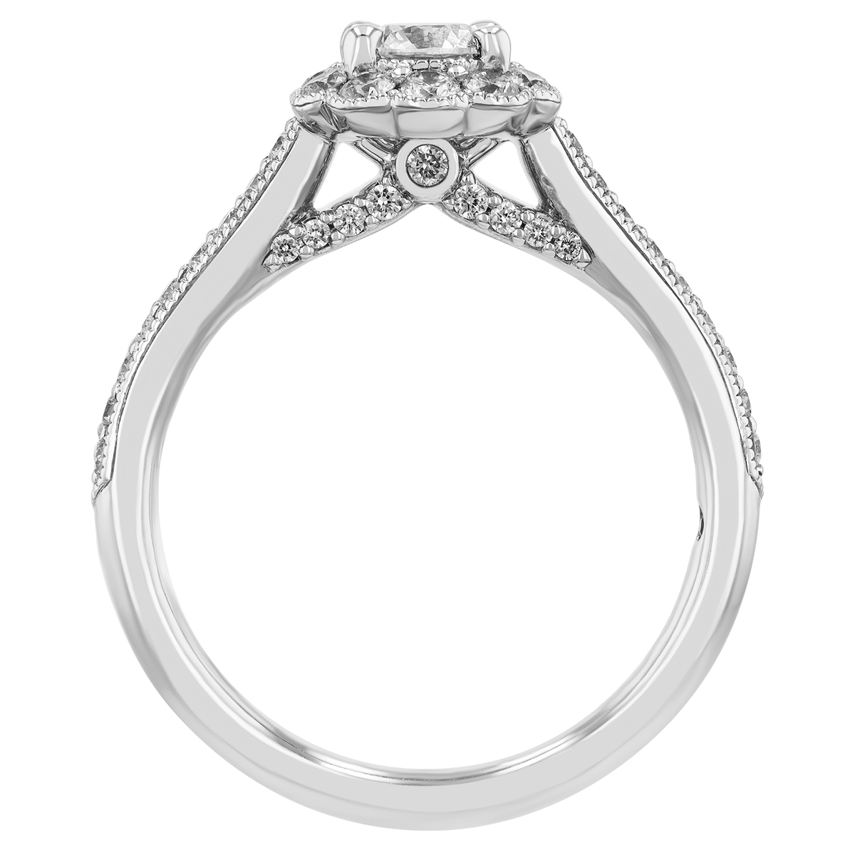 Round Diamond Floral Halo Engagement Ring in 14K White Gold