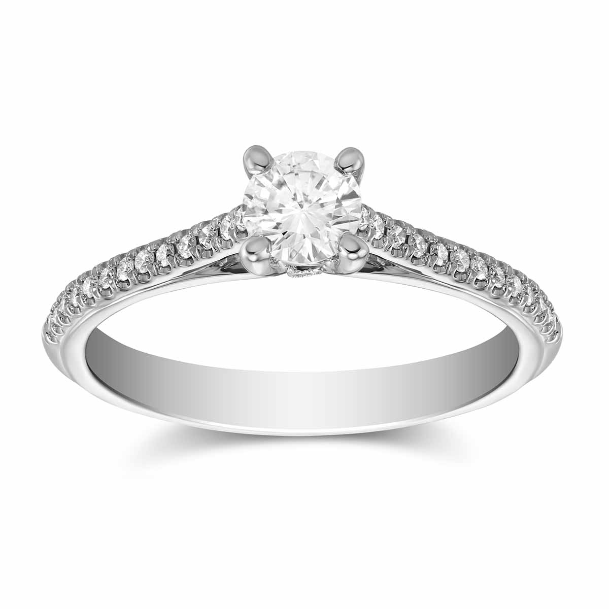 14K White Gold Diamond Ring with Diamond Shank
