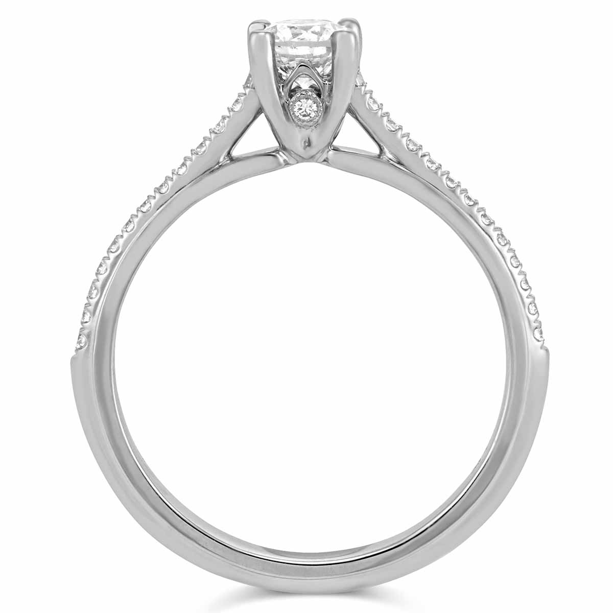 14K White Gold Diamond Ring with Diamond Shank