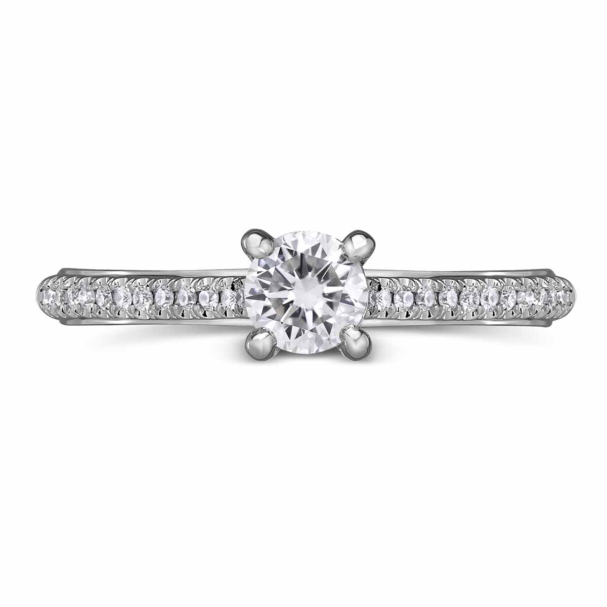 14K White Gold Diamond Ring with Diamond Shank