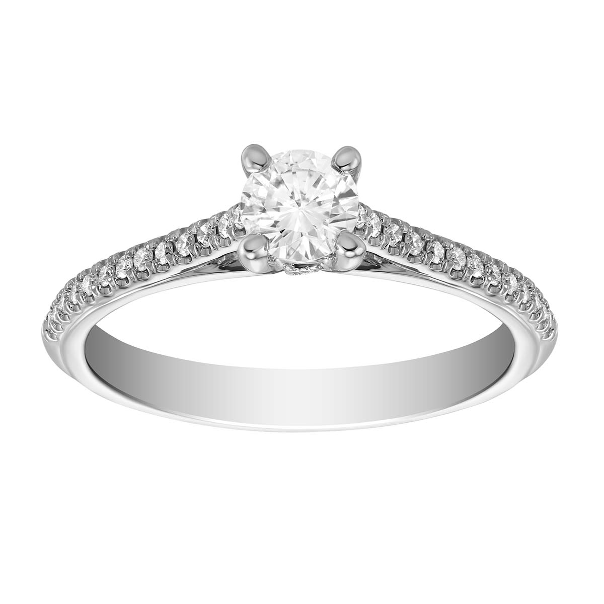 14K White Gold Diamond Ring with Diamond Shank