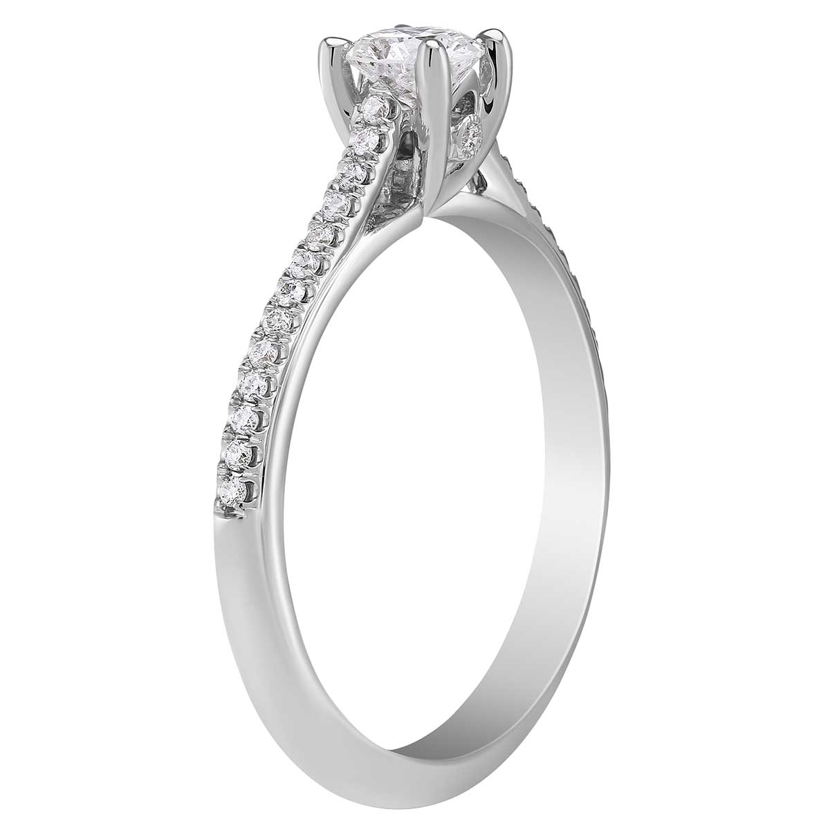 14K White Gold Diamond Ring with Diamond Shank