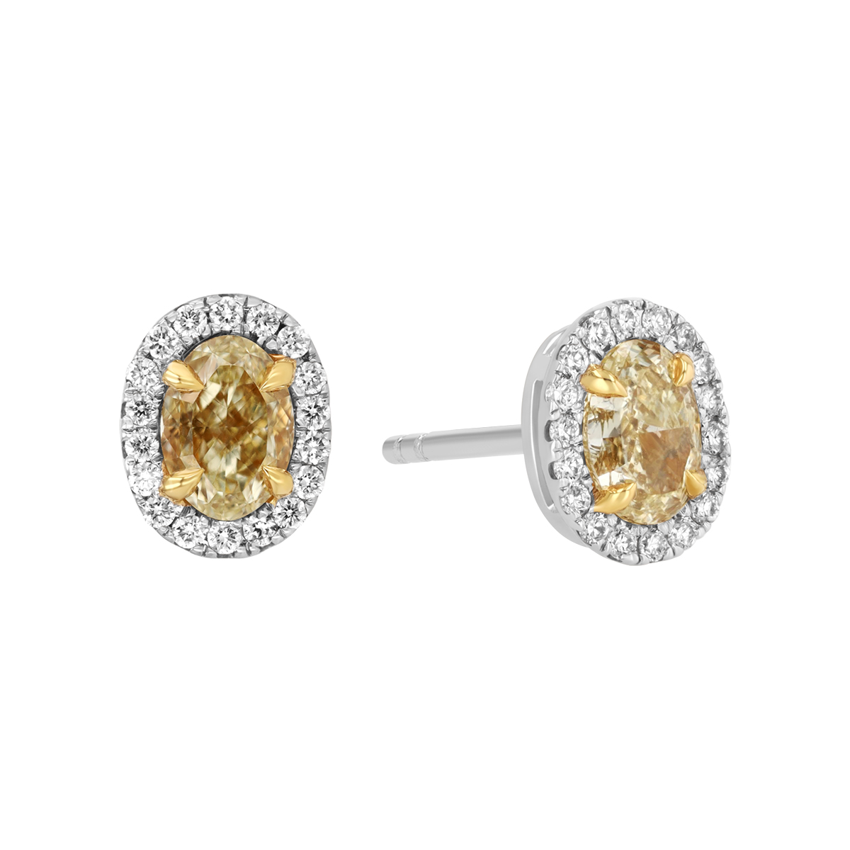 Oval Fancy Yellow & White Diamond Halo Stud Earrings in White Gold