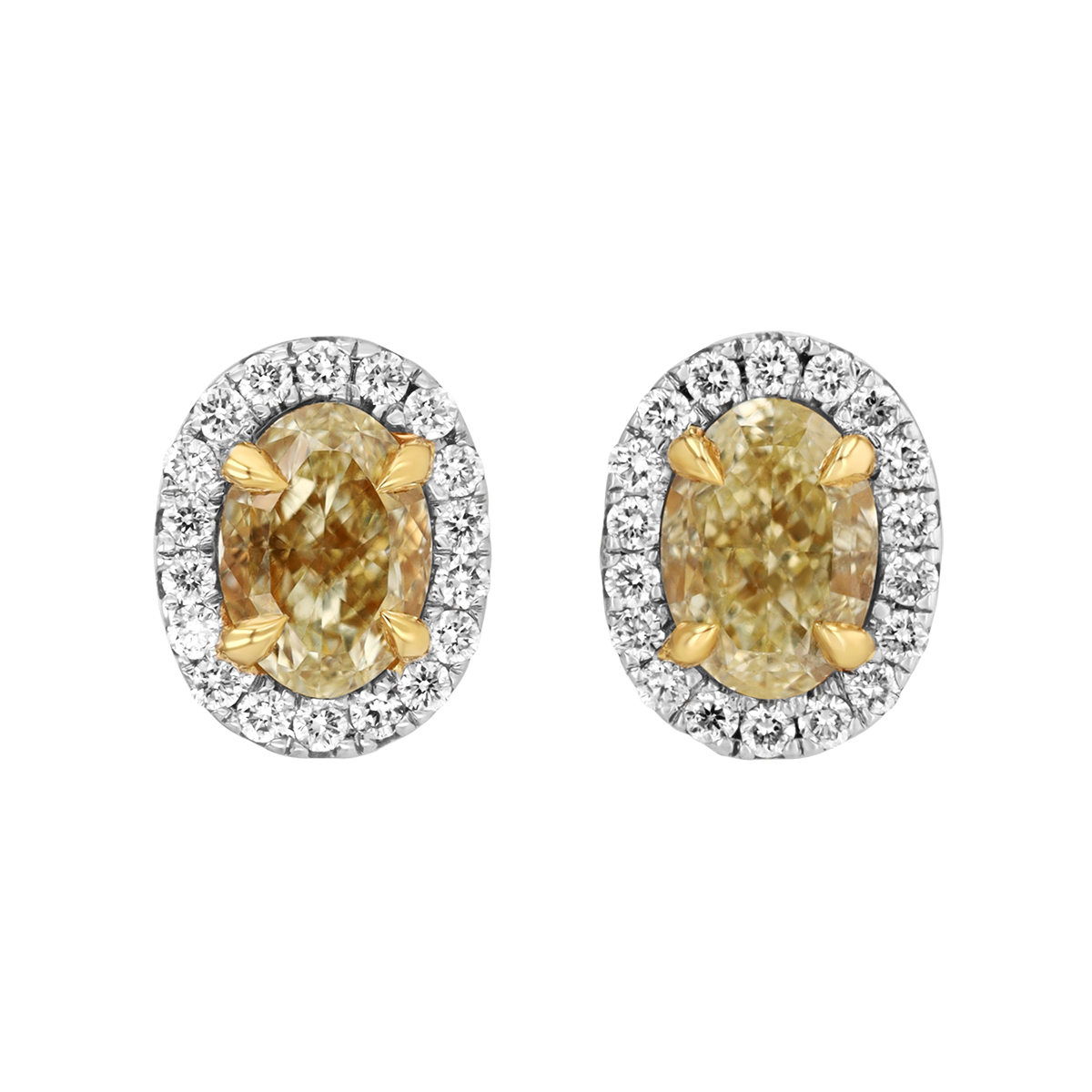 Oval Fancy Yellow & White Diamond Halo Stud Earrings in White Gold