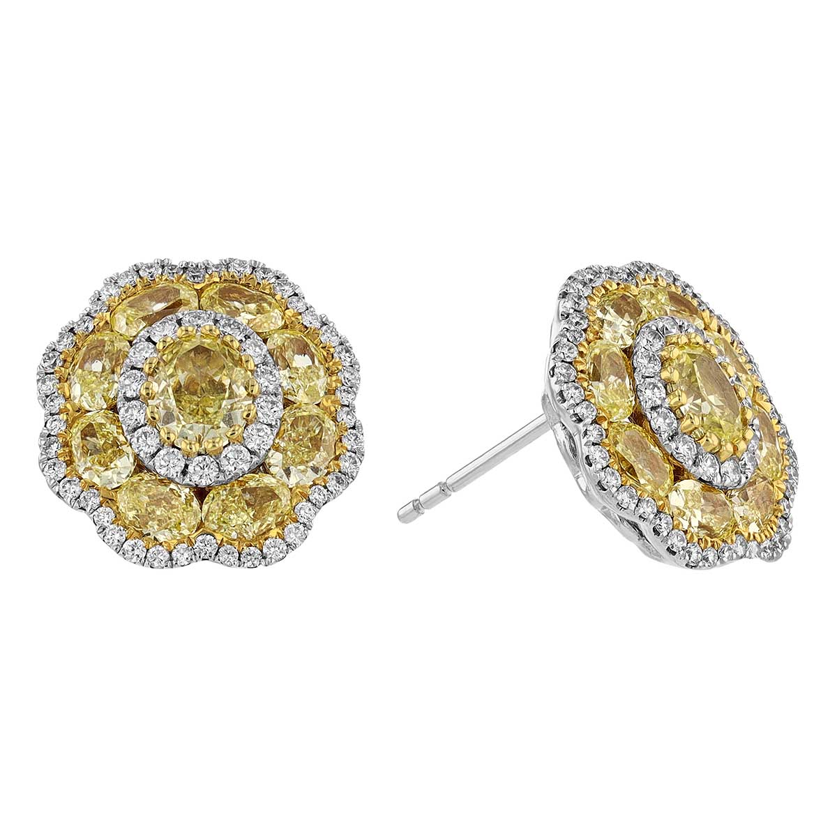 Oval Yellow Diamond Cluster & White Diamond Scalloped Halo Stud Earrings in White Gold