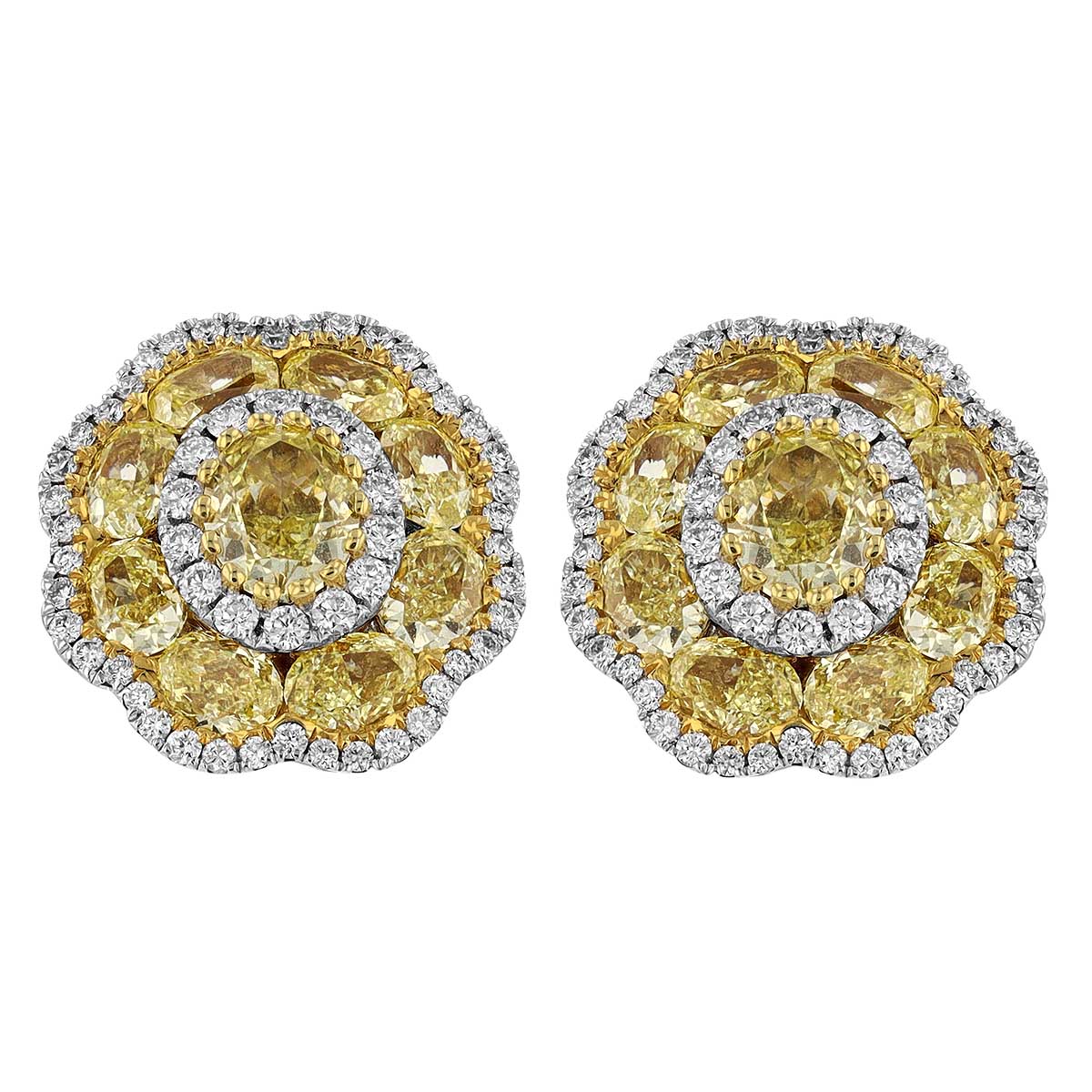 Oval Yellow Diamond Cluster & White Diamond Scalloped Halo Stud Earrings in White Gold