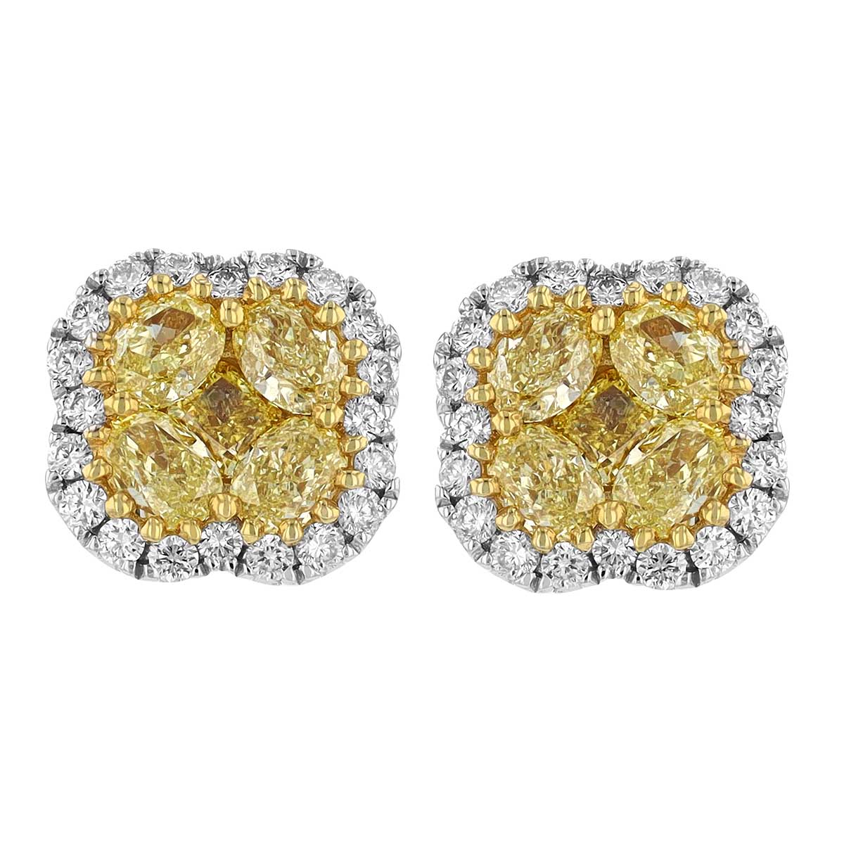 Oval Yellow Diamond Cluster & White Diamond Halo Stud Earrings in White Gold
