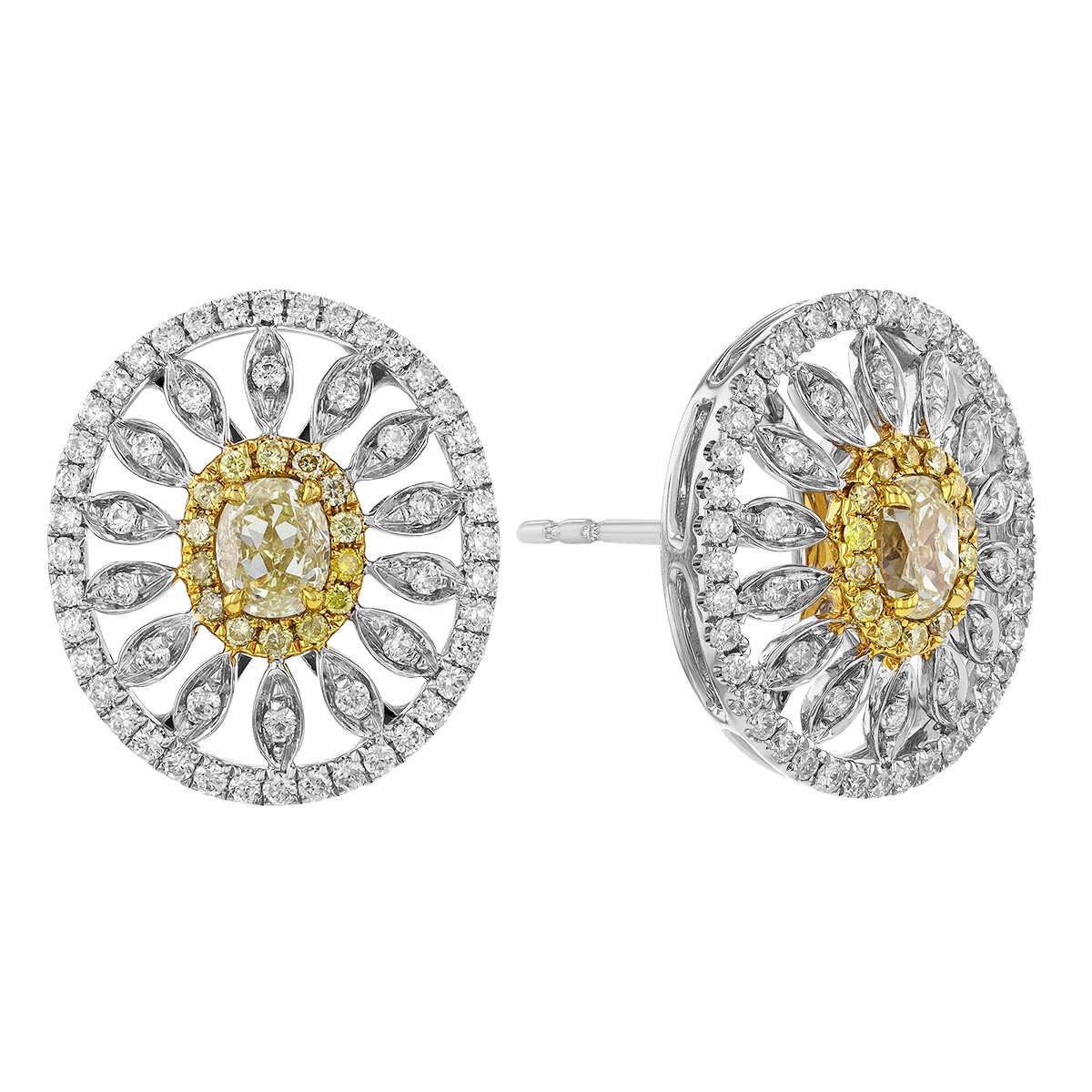 Fancy Yellow & White Diamond Sunshine Stud Earrings in Two Tone
