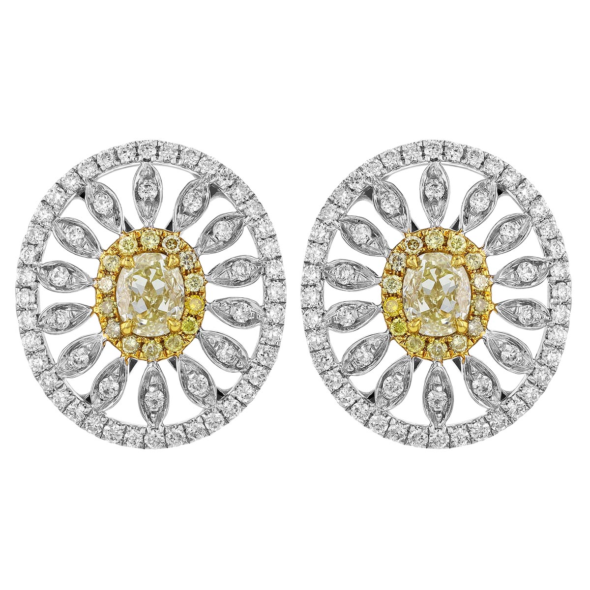 Fancy Yellow & White Diamond Sunshine Stud Earrings in Two Tone