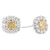 Yellow & White Diamond Halo Stud Earrings in White Gold