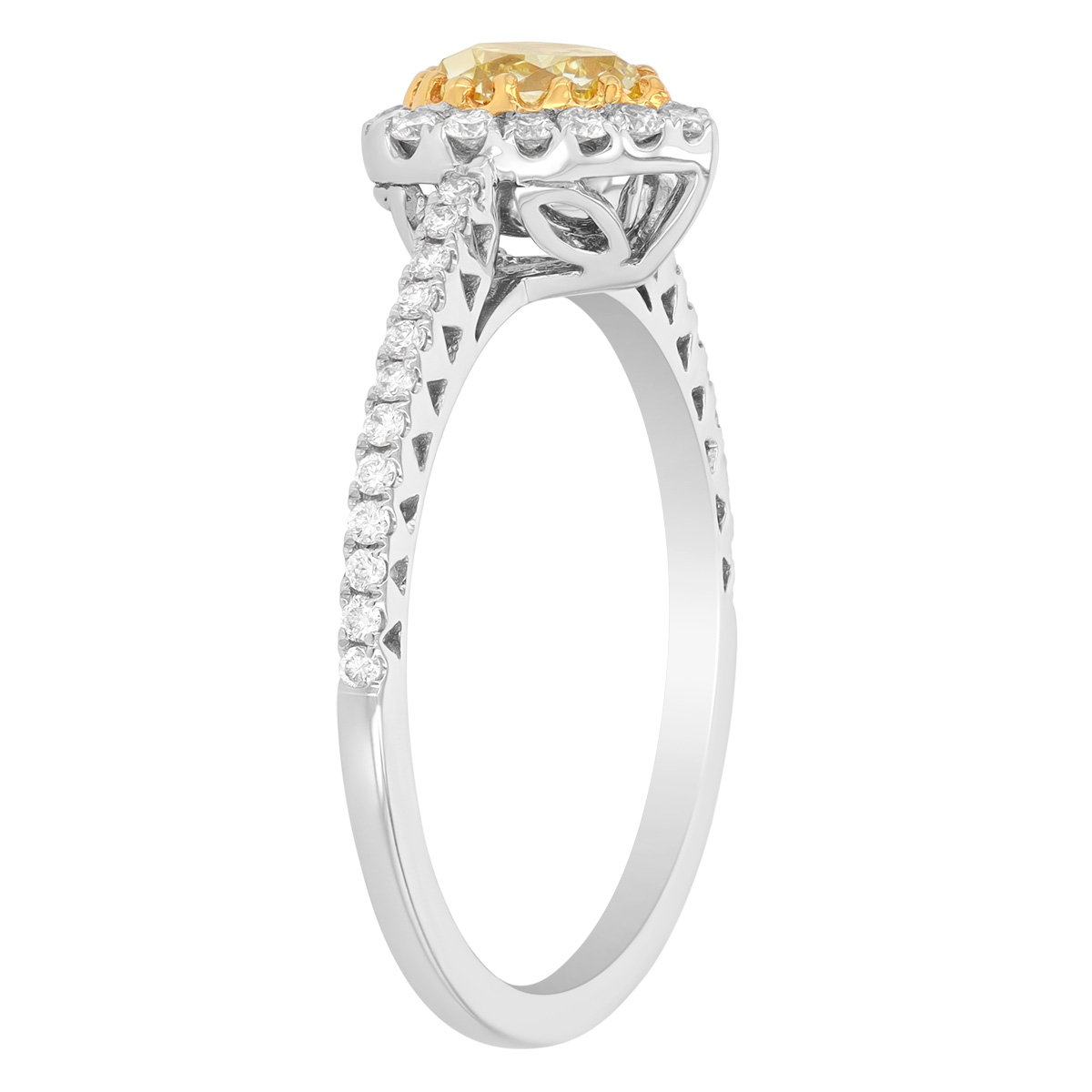 Pear Shape Yellow Diamond & White Diamond Halo Ring in Two Tone