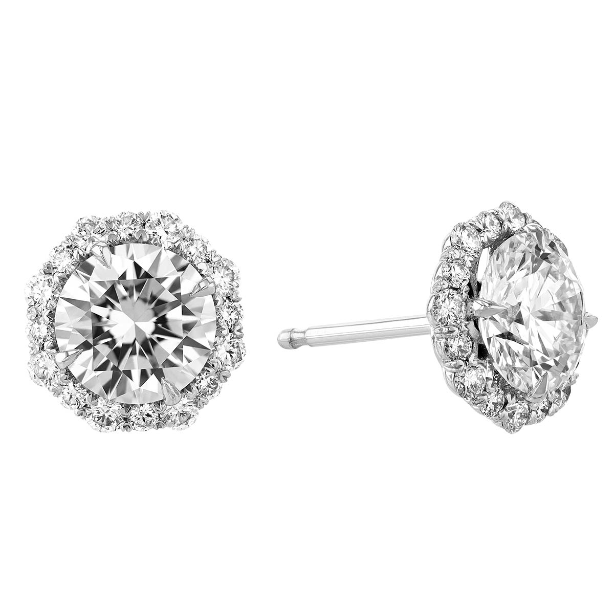 Kalahari Dream Diamond Halo Stud Earrings in White Gold