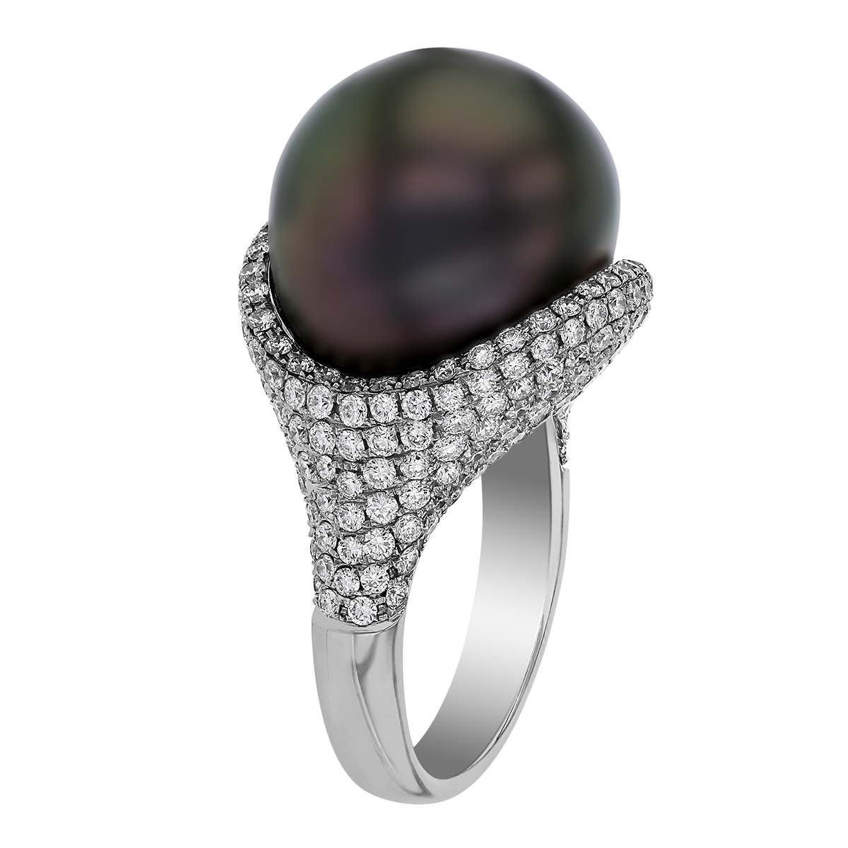 TARA Pearls Black Tahitian South Sea Cultured Pearl & Diamond Pavé Ring in White Gold