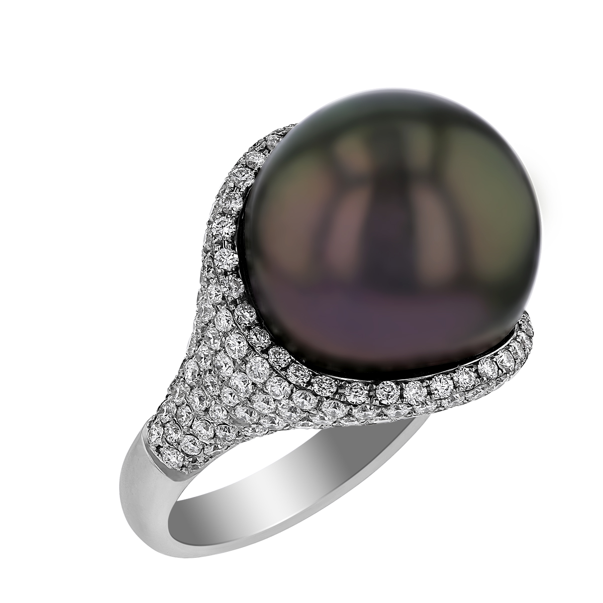 TARA Pearls Black Tahitian South Sea Cultured Pearl & Diamond Pavé Ring in White Gold