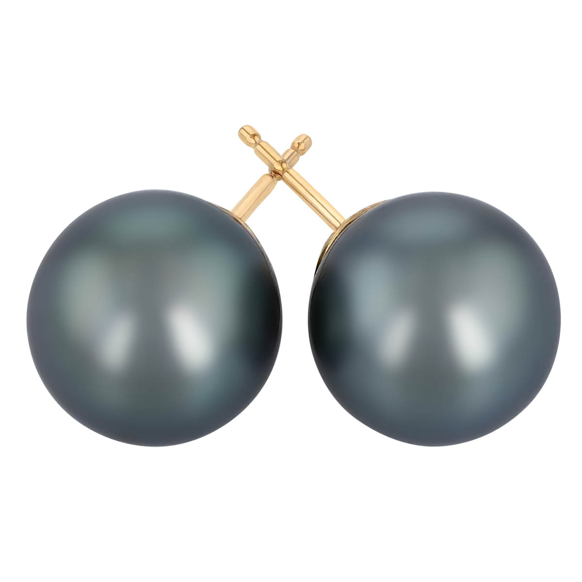 TARA Pearls Tahitian South Sea Cultured Pearl Stud Earrings in Yellow Gold, 10x11 mm