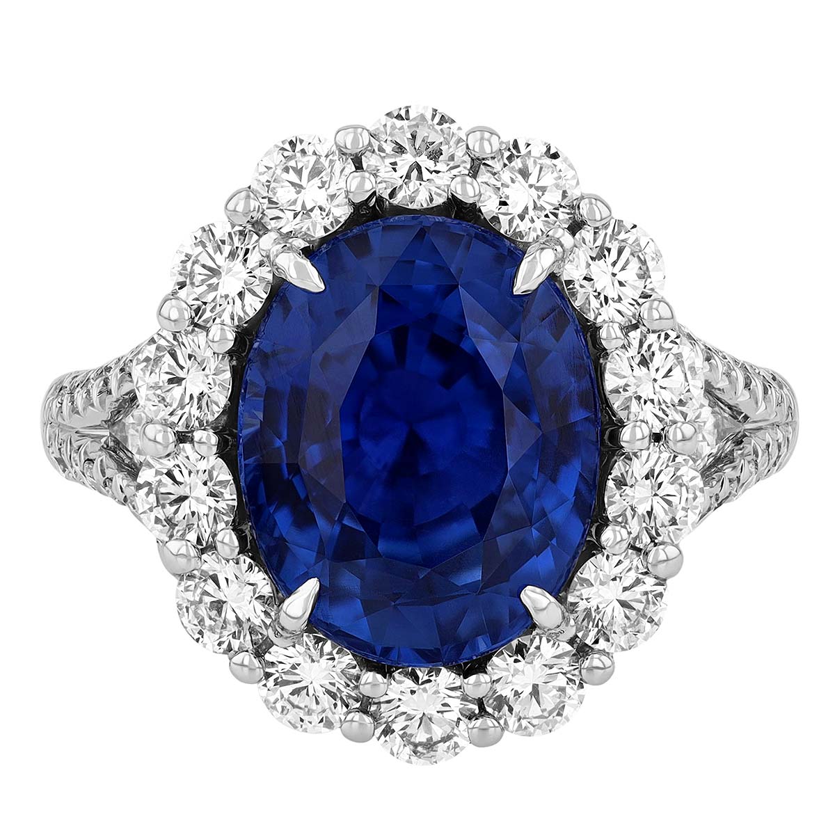 J.B. Star Oval Burma Sapphire & Diamond Halo Ring in Platinum