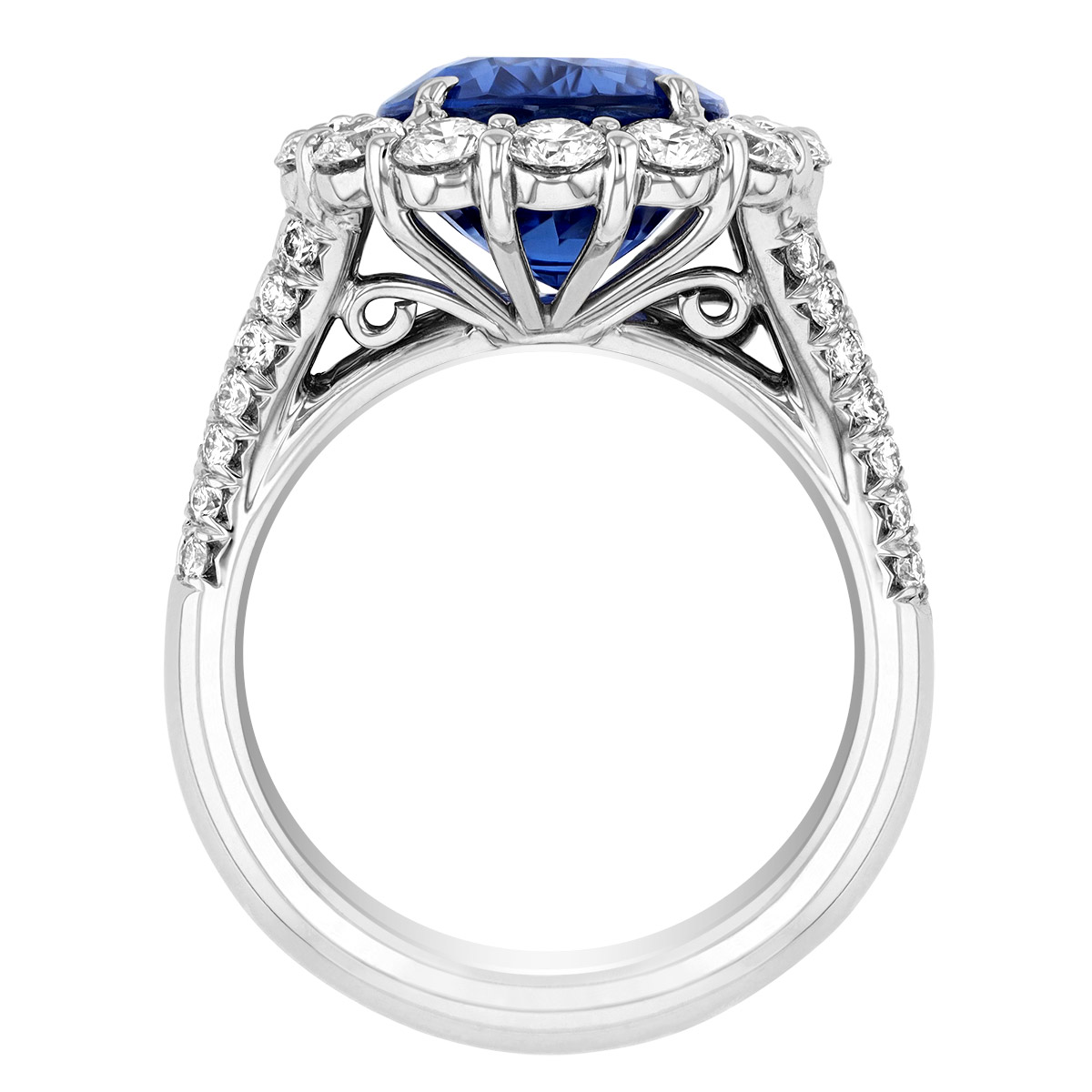 J.B. Star Oval Burma Sapphire & Diamond Halo Ring in Platinum