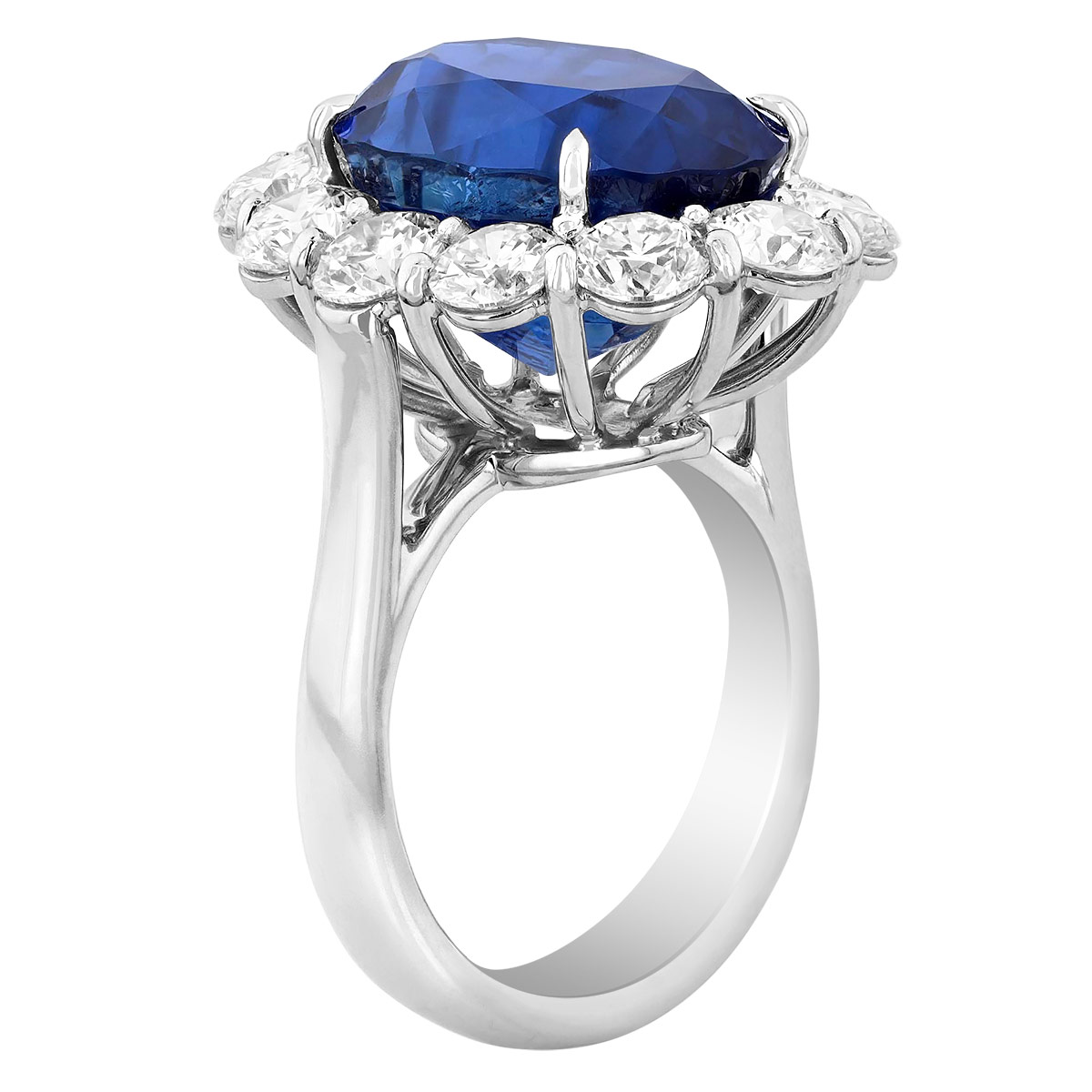 J.B. Star Sri Lankan Oval Sapphire & Diamond Halo Ring in Platinum