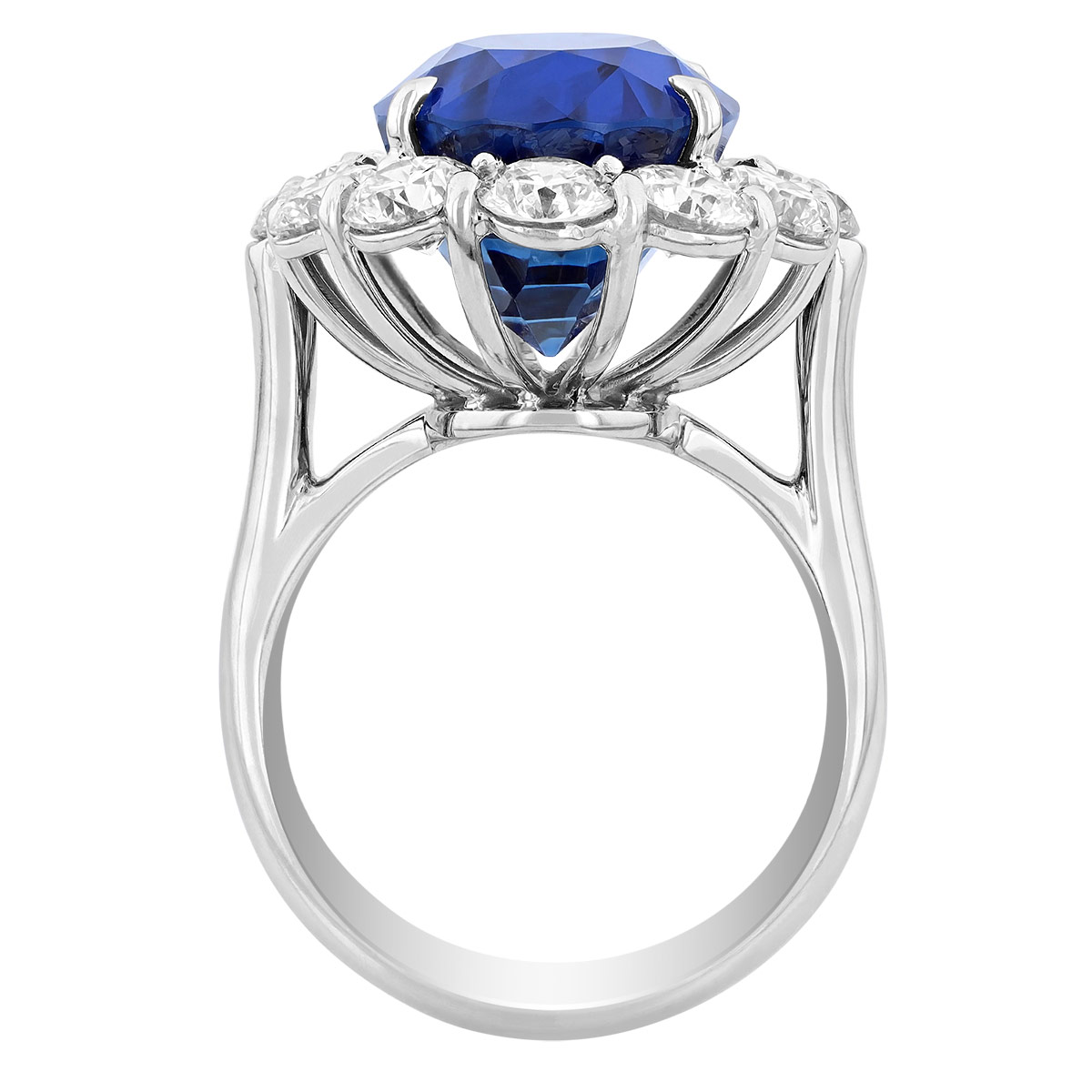 J.B. Star Sri Lankan Oval Sapphire & Diamond Halo Ring in Platinum