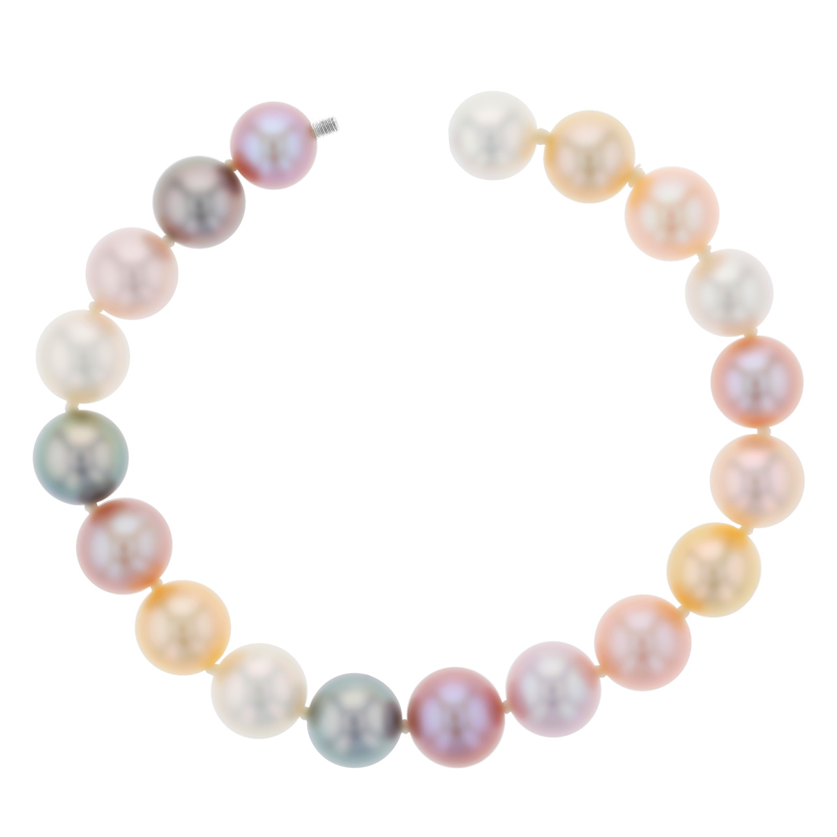 TARA Pearls Tahitian, White, & Golden South Sea and Multicolored Freshwater Pearl Bracelet, 7.75