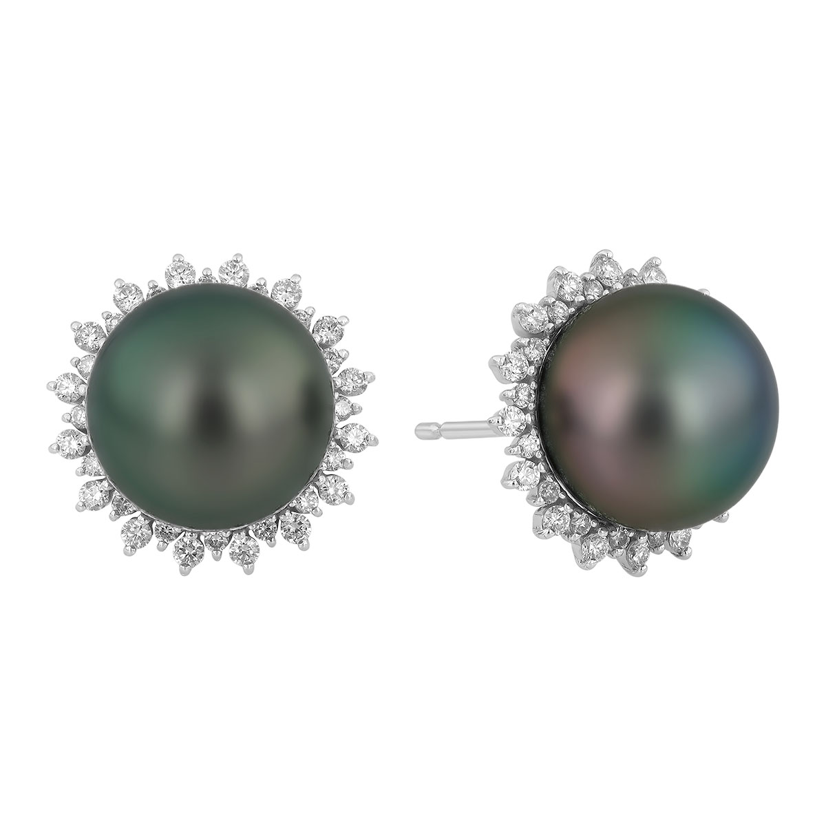 TARA Pearls Tahitian South Sea Cultured Pearl & Diamond Halo Stud Earrings in White Gold, 12 mm