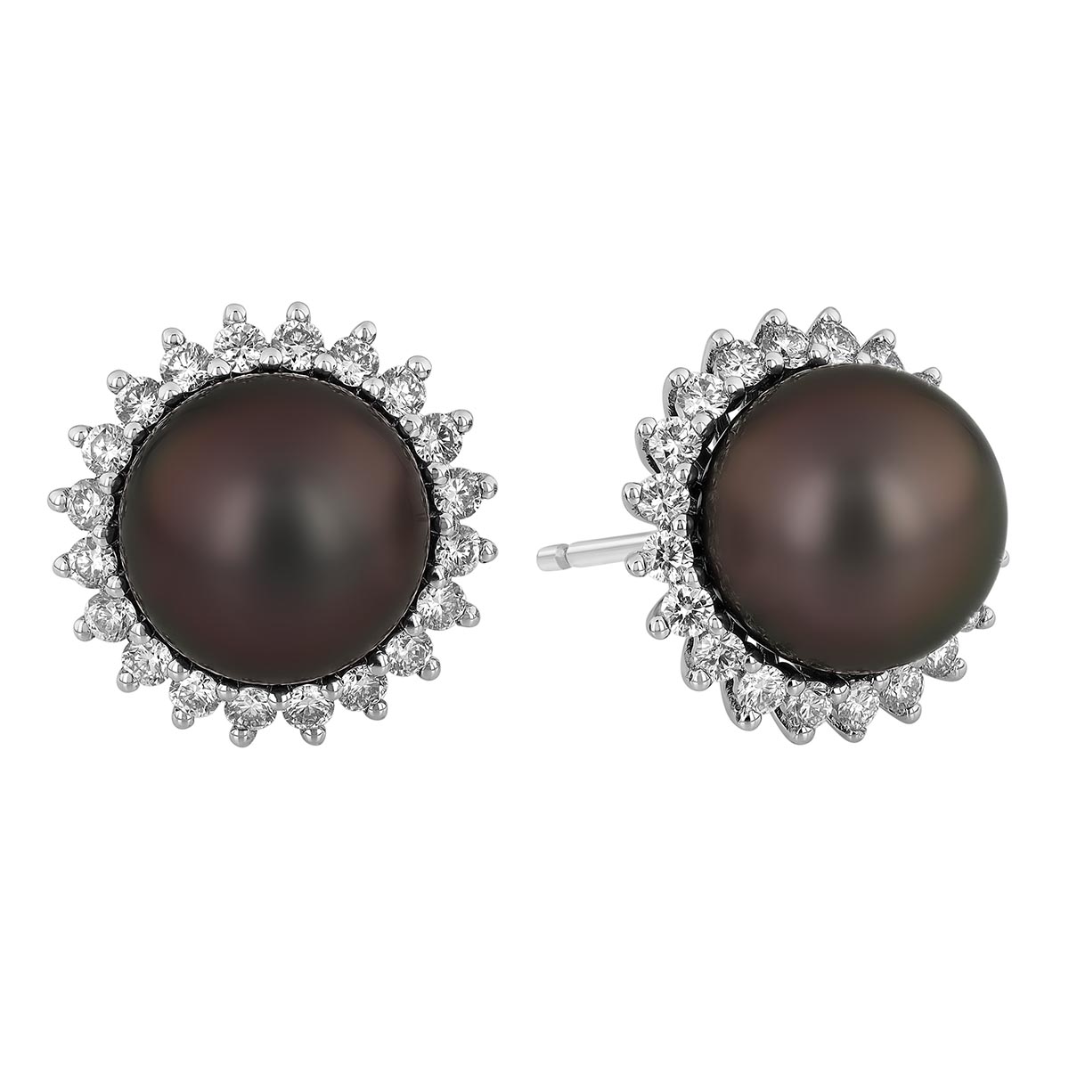 TARA Pearls Tahitian South Sea Cultured Pearl & Diamond Halo Stud Earrings in White Gold, 9-10 mm