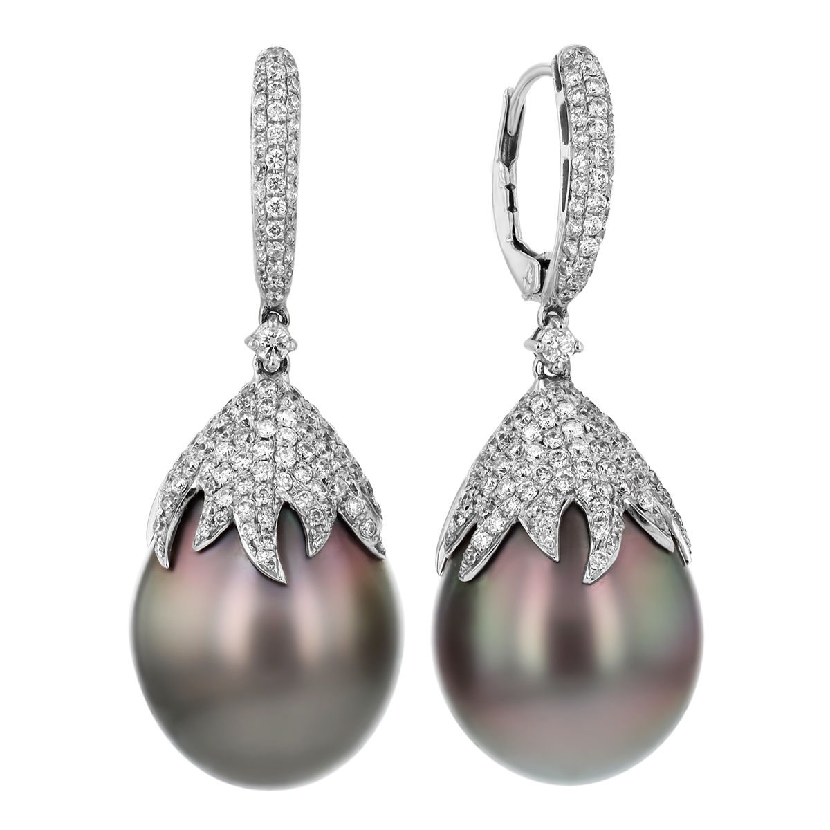 TARA Pearls Tahitian South Sea Cultured Pearl & Diamond Pavé Dangle Hoop Earrings in White Gold