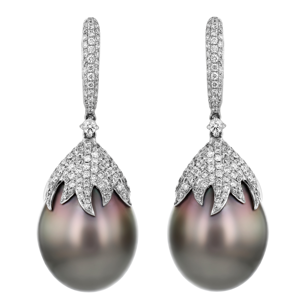 TARA Pearls Tahitian South Sea Cultured Pearl & Diamond Pavé Dangle Hoop Earrings in White Gold