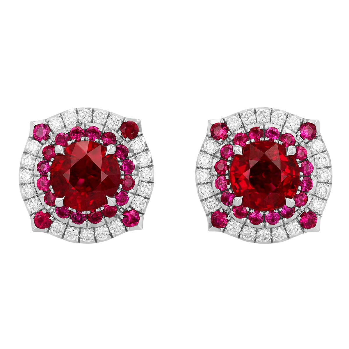 Omi Priva Oval Ruby & Diamond Halo Stud Earrings in Platinum