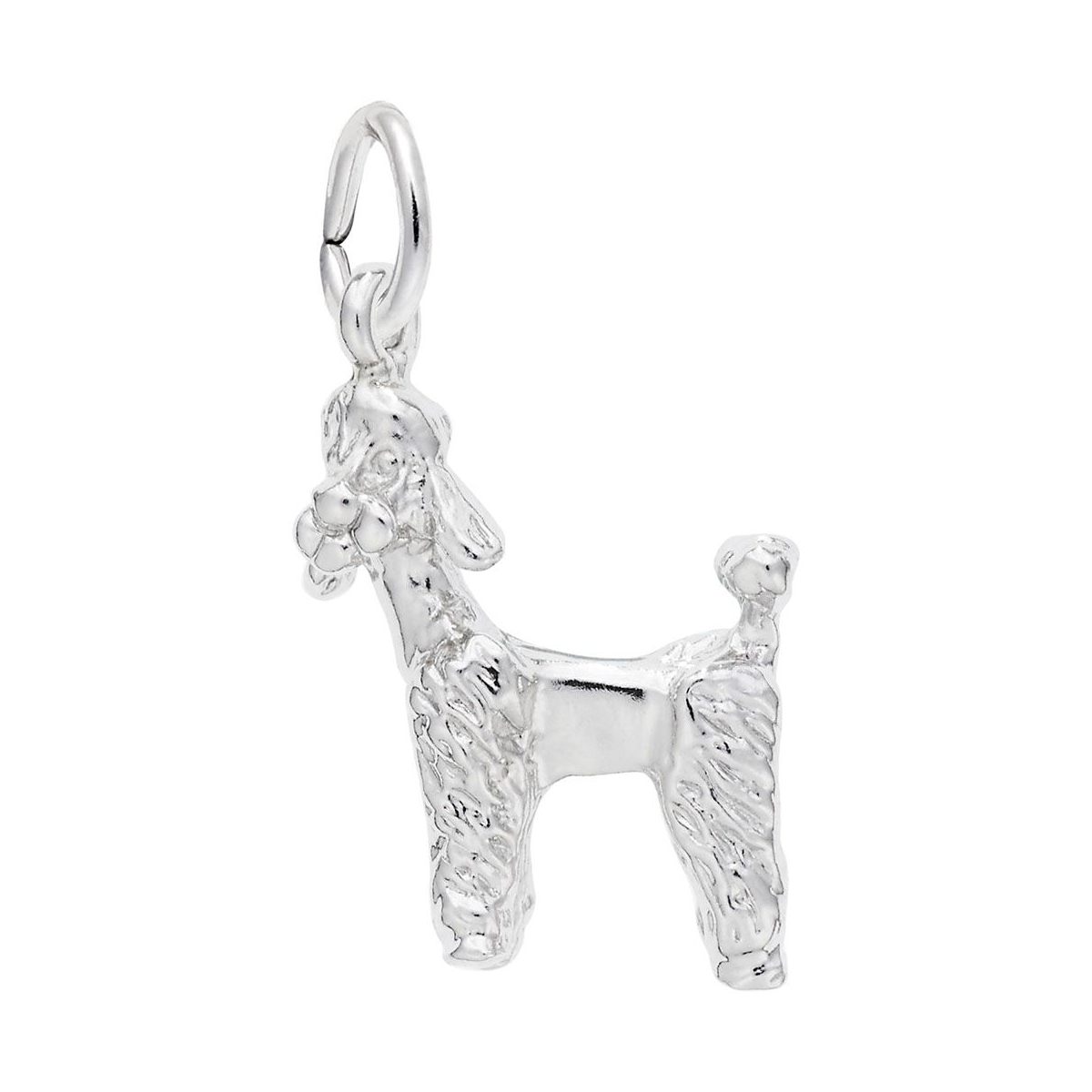 Rembrandt Charms Poddle Charm in Sterling Silver