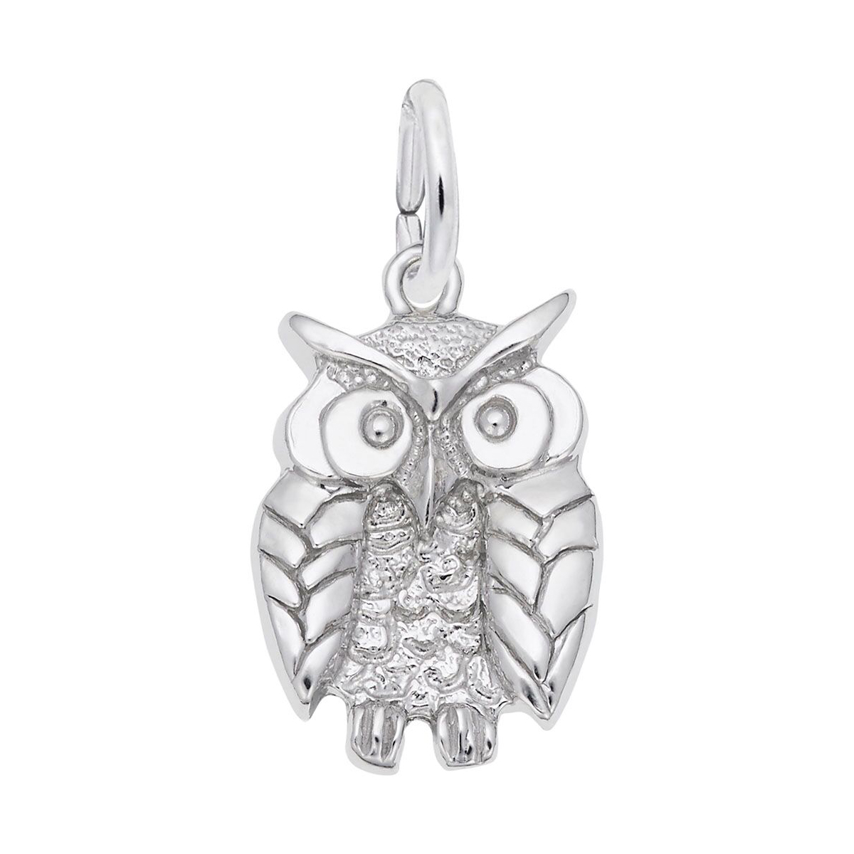 Rembrandt Charms Wise Owl Charm in Sterling Silver