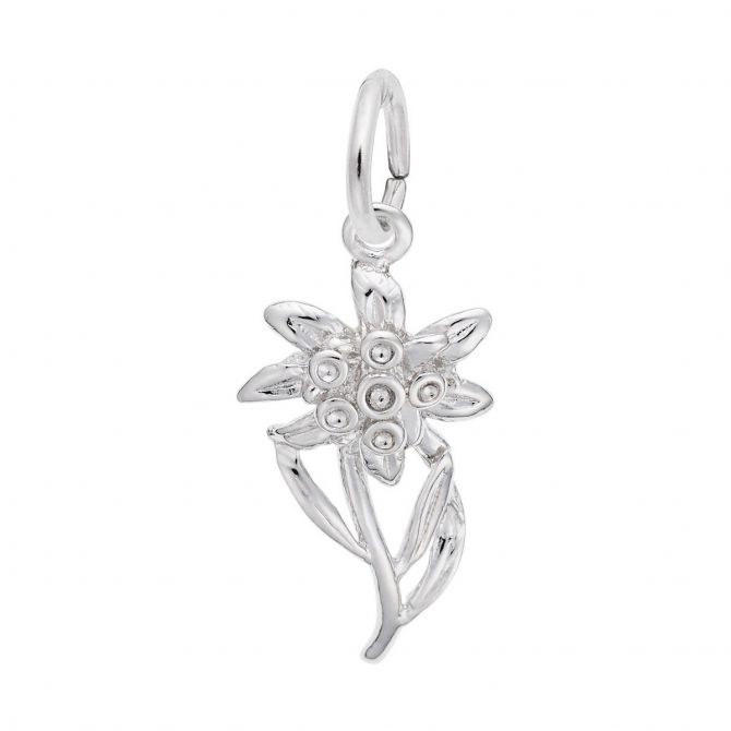 Rembrandt Charms Edelweiss Flower Charm in Sterling Silver