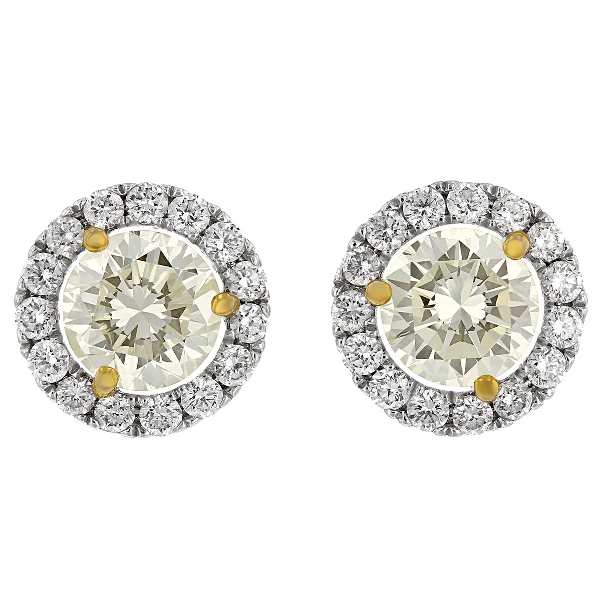 Round Diamond Halo Earrings in White Gold