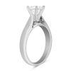 Platinum Cathedral Solitaire Engagement Ring Setting
