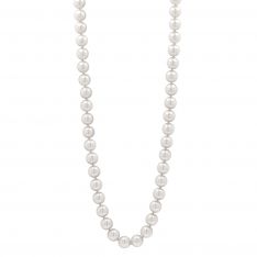 TARA Pearls Akoya Cultured Pearl Strand, 8x8.5mm in White Gold, 18"