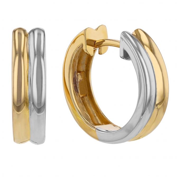 Dual tone earrings online