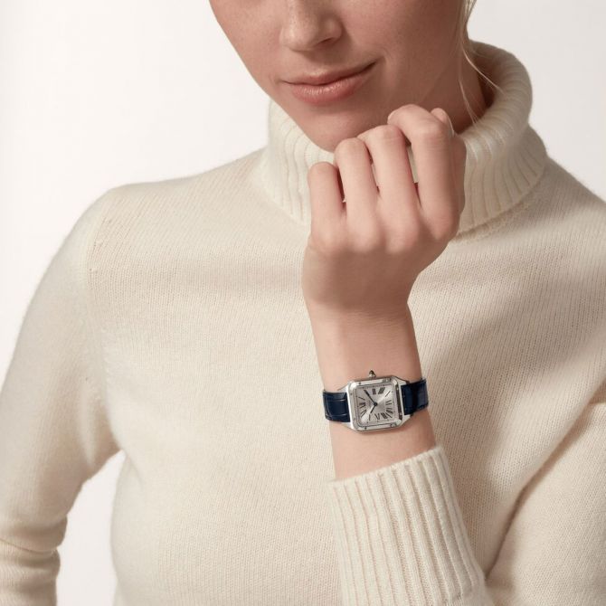 Louis cartier shop santos dumont